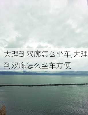 大理到双廊怎么坐车,大理到双廊怎么坐车方便