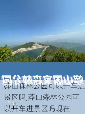 莽山森林公园可以开车进景区吗,莽山森林公园可以开车进景区吗现在