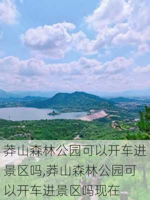 莽山森林公园可以开车进景区吗,莽山森林公园可以开车进景区吗现在