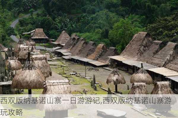 西双版纳基诺山寨一日游游记,西双版纳基诺山寨游玩攻略