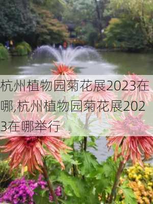 杭州植物园菊花展2023在哪,杭州植物园菊花展2023在哪举行