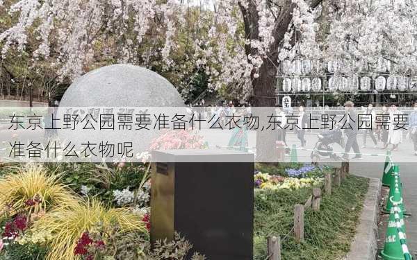 东京上野公园需要准备什么衣物,东京上野公园需要准备什么衣物呢