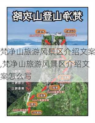 梵净山旅游风景区介绍文案,梵净山旅游风景区介绍文案怎么写