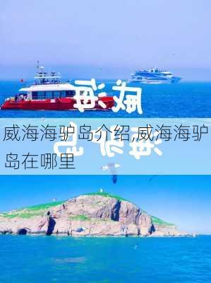 威海海驴岛介绍,威海海驴岛在哪里