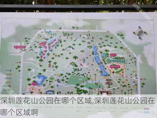 深圳莲花山公园在哪个区域,深圳莲花山公园在哪个区域啊