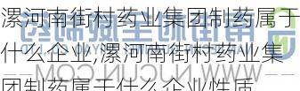 漯河南街村药业集团制药属于什么企业,漯河南街村药业集团制药属于什么企业性质