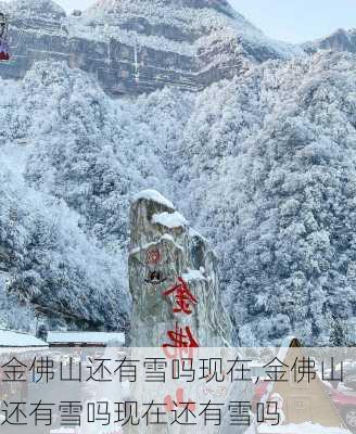 金佛山还有雪吗现在,金佛山还有雪吗现在还有雪吗