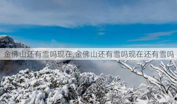 金佛山还有雪吗现在,金佛山还有雪吗现在还有雪吗