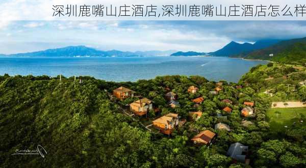 深圳鹿嘴山庄酒店,深圳鹿嘴山庄酒店怎么样