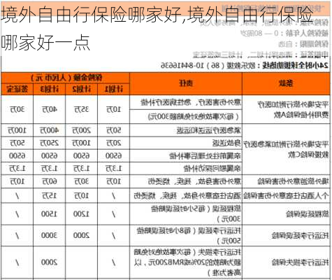 境外自由行保险哪家好,境外自由行保险哪家好一点