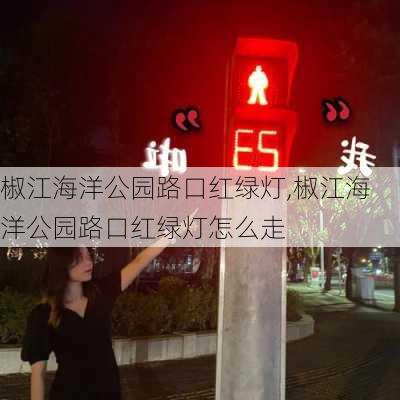 椒江海洋公园路口红绿灯,椒江海洋公园路口红绿灯怎么走