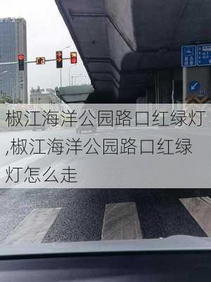 椒江海洋公园路口红绿灯,椒江海洋公园路口红绿灯怎么走