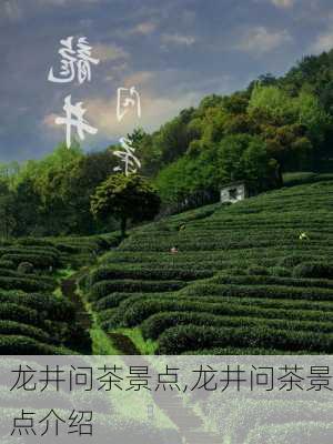 龙井问茶景点,龙井问茶景点介绍