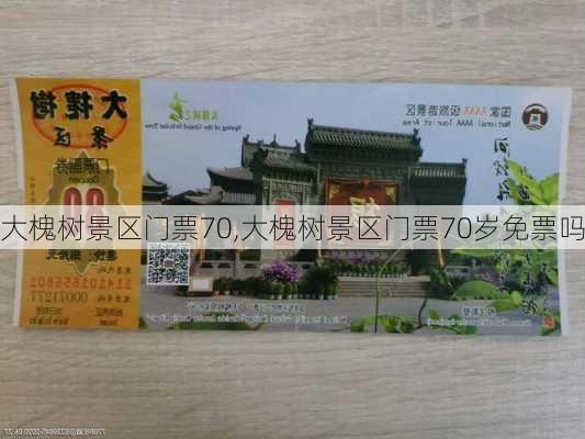 大槐树景区门票70,大槐树景区门票70岁免票吗