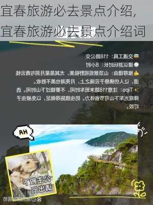 宜春旅游必去景点介绍,宜春旅游必去景点介绍词