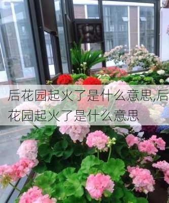 后花园起火了是什么意思,后花园起火了是什么意思