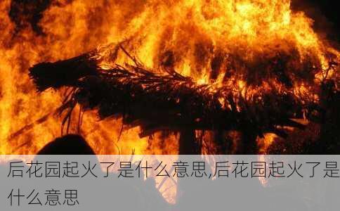 后花园起火了是什么意思,后花园起火了是什么意思