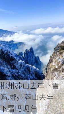 郴州莽山去年下雪吗,郴州莽山去年下雪吗现在