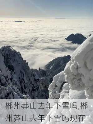 郴州莽山去年下雪吗,郴州莽山去年下雪吗现在