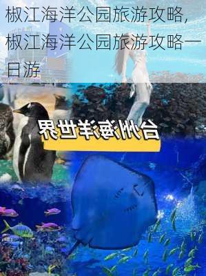 椒江海洋公园旅游攻略,椒江海洋公园旅游攻略一日游