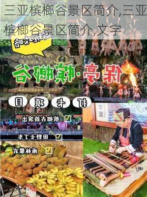 三亚槟榔谷景区简介,三亚槟榔谷景区简介,文字