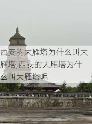 西安的大雁塔为什么叫大雁塔,西安的大雁塔为什么叫大雁塔呢