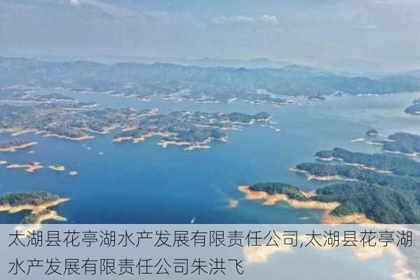 太湖县花亭湖水产发展有限责任公司,太湖县花亭湖水产发展有限责任公司朱洪飞