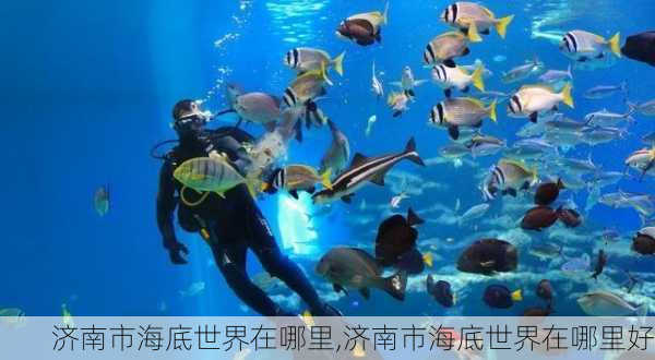 济南市海底世界在哪里,济南市海底世界在哪里好