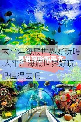 太平洋海底世界好玩吗,太平洋海底世界好玩吗值得去吗