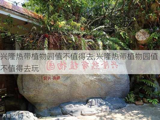 兴隆热带植物园值不值得去,兴隆热带植物园值不值得去玩