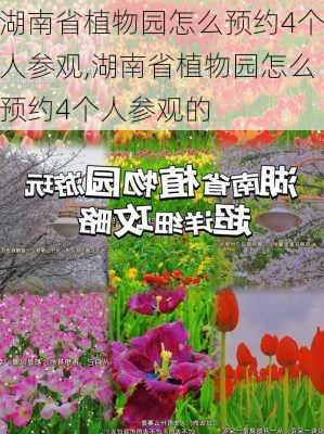 湖南省植物园怎么预约4个人参观,湖南省植物园怎么预约4个人参观的