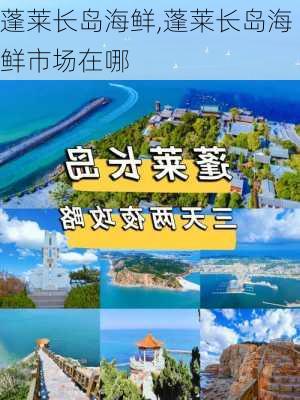 蓬莱长岛海鲜,蓬莱长岛海鲜市场在哪