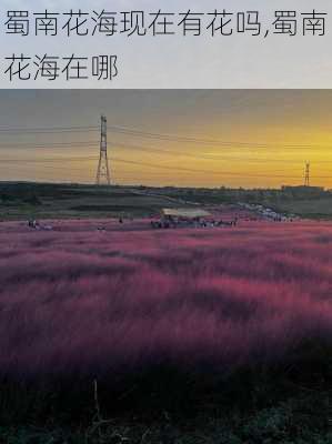 蜀南花海现在有花吗,蜀南花海在哪