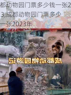 成都动物园门票多少钱一张2023,成都动物园门票多少钱一张2023年