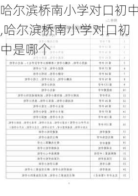 哈尔滨桥南小学对口初中,哈尔滨桥南小学对口初中是哪个