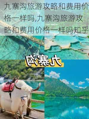 九寨沟旅游攻略和费用价格一样吗,九寨沟旅游攻略和费用价格一样吗知乎