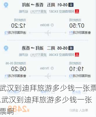 武汉到迪拜旅游多少钱一张票,武汉到迪拜旅游多少钱一张票啊