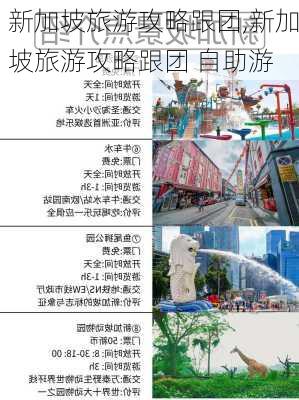 新加坡旅游攻略跟团,新加坡旅游攻略跟团 自助游