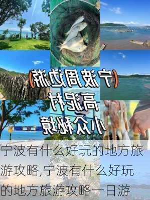 宁波有什么好玩的地方旅游攻略,宁波有什么好玩的地方旅游攻略一日游