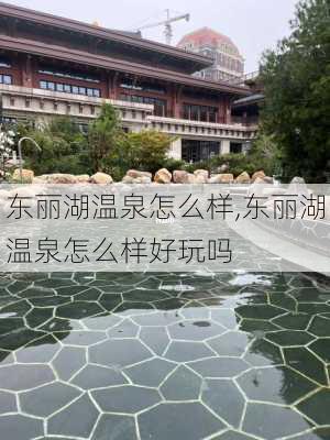 东丽湖温泉怎么样,东丽湖温泉怎么样好玩吗