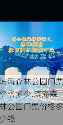 滨海森林公园门票价格多少,滨海森林公园门票价格多少钱