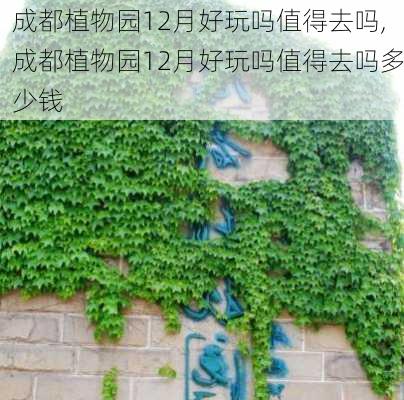 成都植物园12月好玩吗值得去吗,成都植物园12月好玩吗值得去吗多少钱