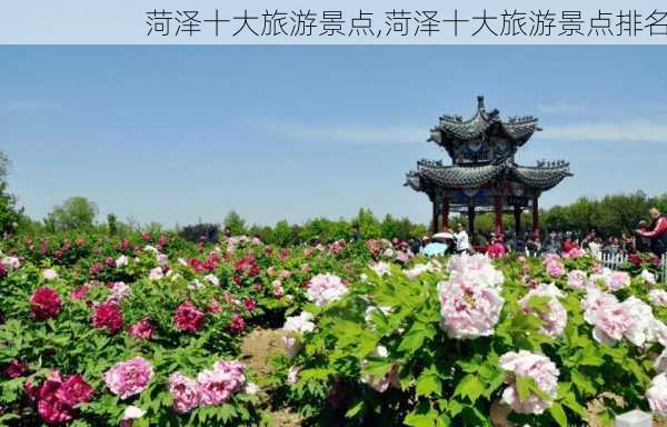 菏泽十大旅游景点,菏泽十大旅游景点排名