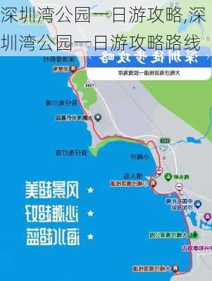 深圳湾公园一日游攻略,深圳湾公园一日游攻略路线