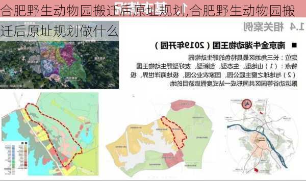 合肥野生动物园搬迁后原址规划,合肥野生动物园搬迁后原址规划做什么