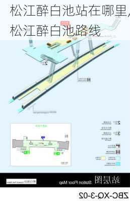 松江醉白池站在哪里,松江醉白池路线