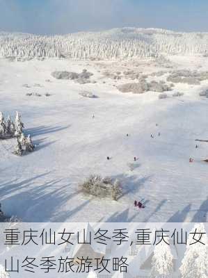 重庆仙女山冬季,重庆仙女山冬季旅游攻略