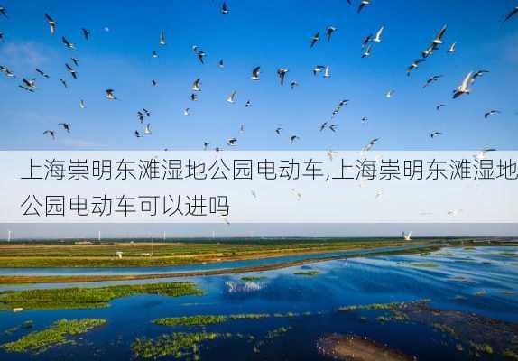 上海崇明东滩湿地公园电动车,上海崇明东滩湿地公园电动车可以进吗