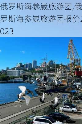 俄罗斯海参崴旅游团,俄罗斯海参崴旅游团报价2023