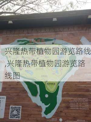 兴隆热带植物园游览路线,兴隆热带植物园游览路线图